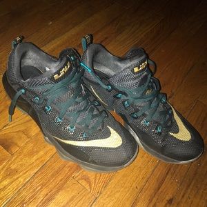 Lebron XII Low